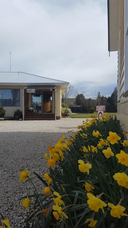 Waiau Motor Camp & Cabins Luaran gambar